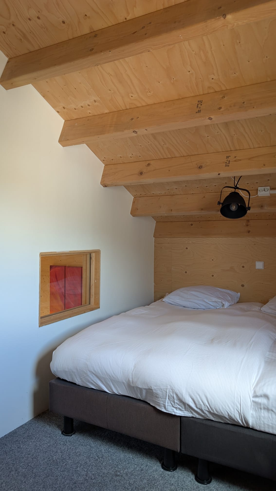 PHOTO-2025-04-03-16-52-40 (3)