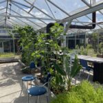 beste+fot+in+de+kas (1)