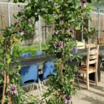 passie+bloem+in+kas (1)